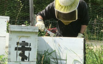 The Hidden Work of Bees and Monks